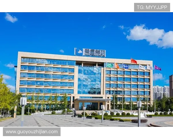 凯发国际k8官网注册流程与新手入门必备的操作指南全解析 凯发国际k8官网注册流程与新手入门必备的操作指南全解析