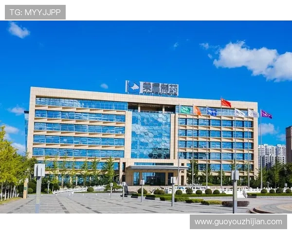 凯发・k8国际(中国)登录首页最新安全措施,保障玩家个人信息和资金安全的全面解决方案 凯发・k8国际(中国)登录首页最新安全措施,保障玩家个人信息和资金安全的全面解决方案