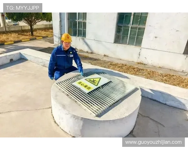天生赢家凯发一触即发：如何在短时间内掌握核心玩法快速成为游戏中的佼佼者